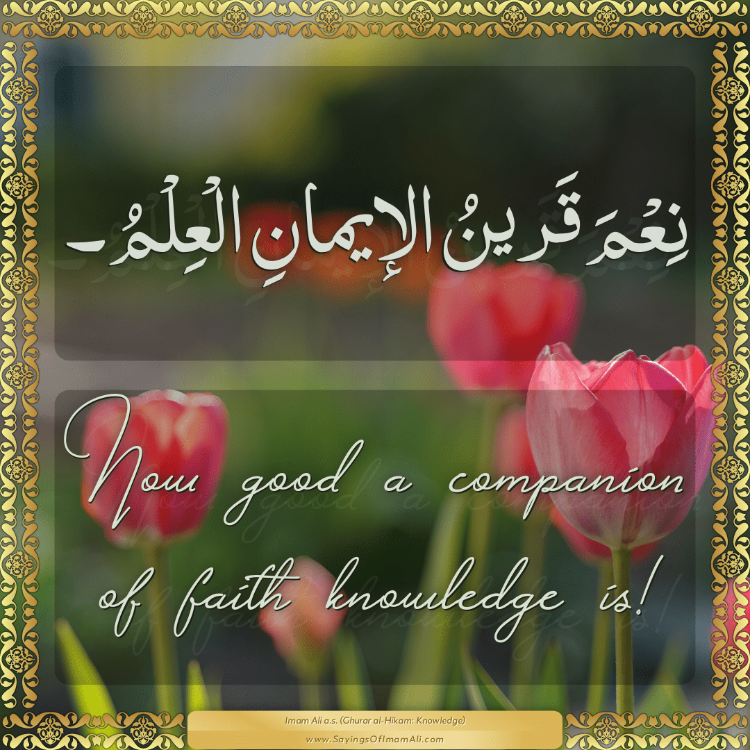 How good a companion of faith knowledge is!